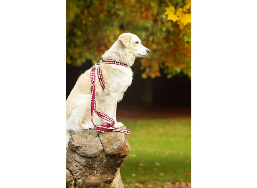 Harness Peruvian Arrow Red