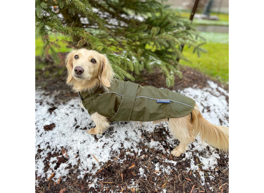 CITY SLICKER ALL-WEATHER DOG JACKET & RAINCOAT - KOMBU GREEN