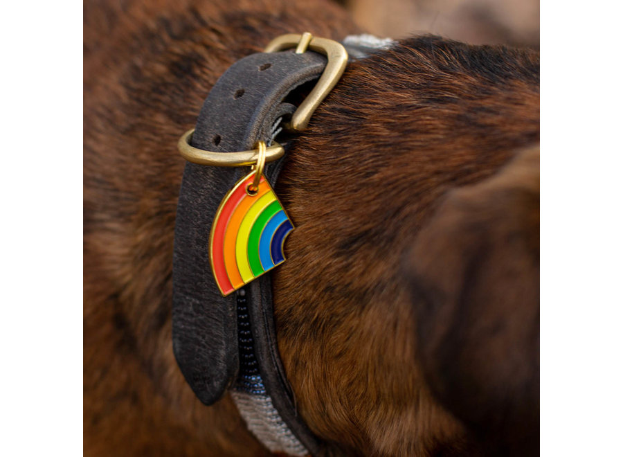 Rainbow hondenpenning