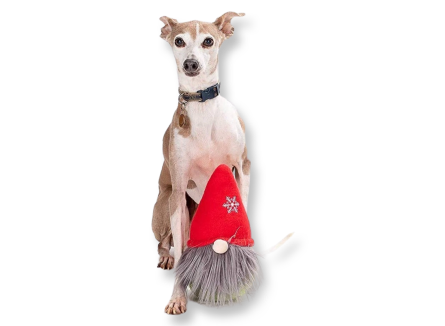 Gnome Plush dog toy