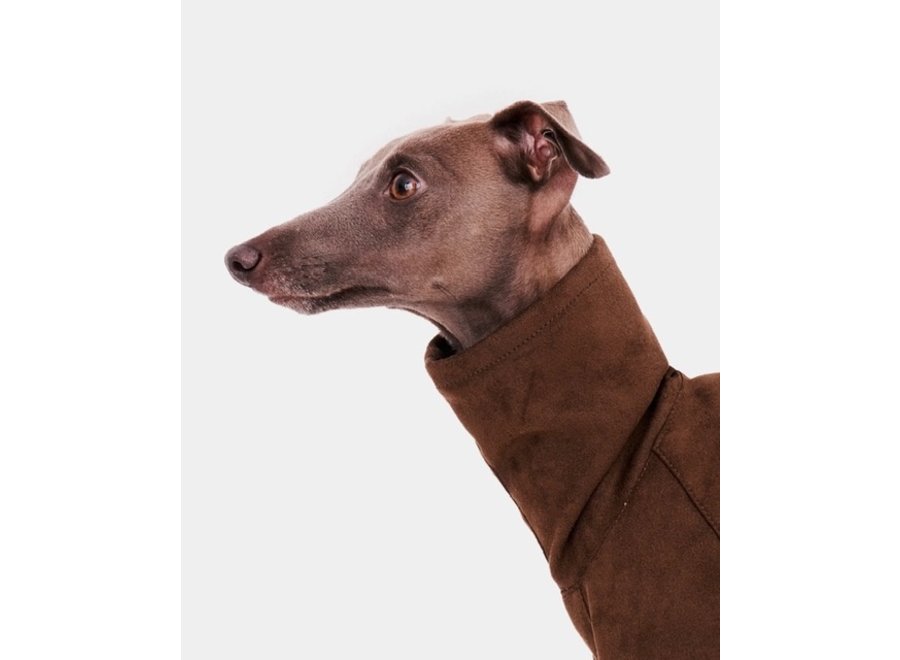 BROWN SWEATSHIRT | WHIPPET