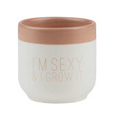 Flowery Greetings Sexy and I grow it