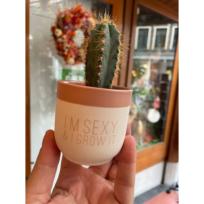 Flowery Greetings Sexy and I grow it