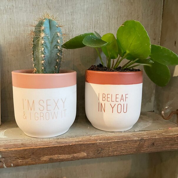 Räder Flowery Greetings Sexy and I grow it