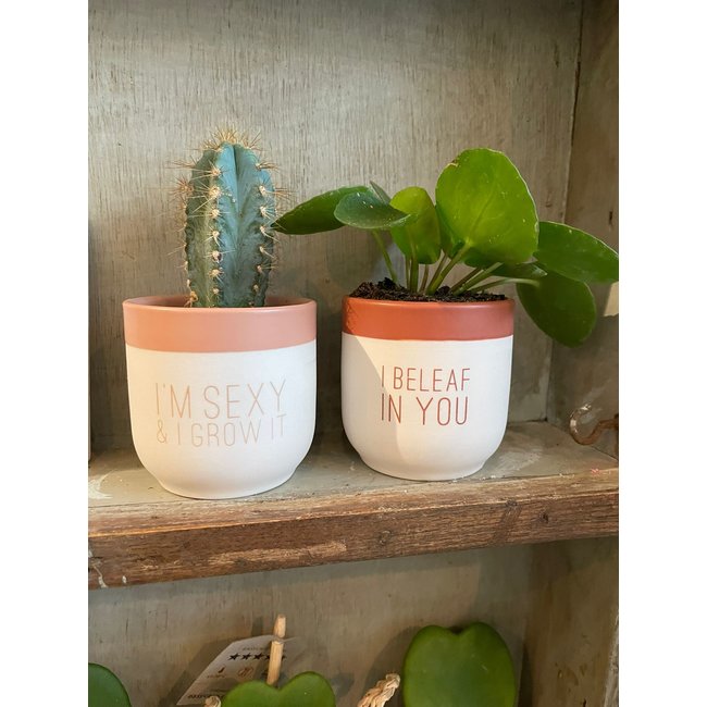 Flowering Greetings I beleaf in you