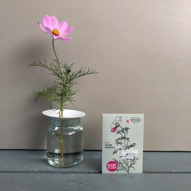 Zadenzakje | Blijdschap zaaien