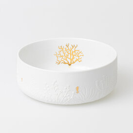 Bowl seahorse coral