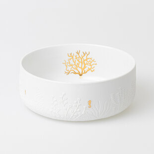 Bowl seahorse coral