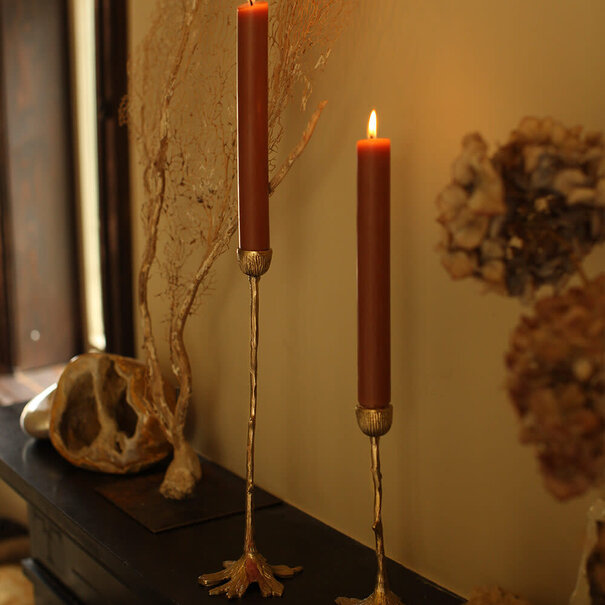 Doing goods Misty Tree Canule Holder Short