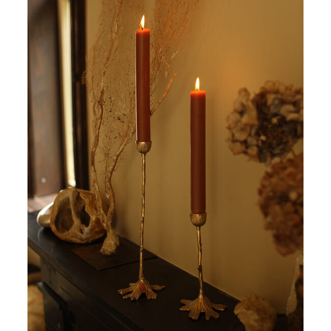 Misty Tree Canule Holder Short