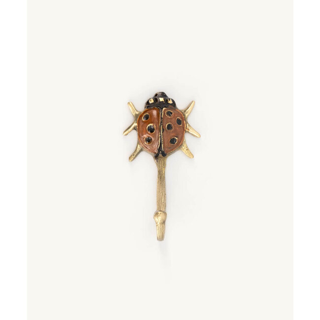 Doing goods Lady Bug Hook