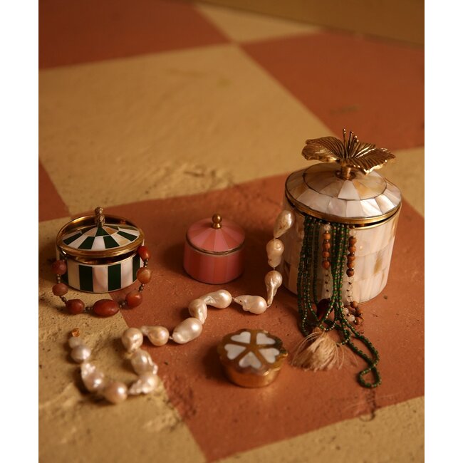 Lola Circus Box Pine