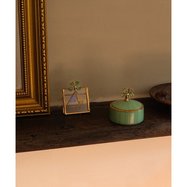 Lucky Clover Circus Box