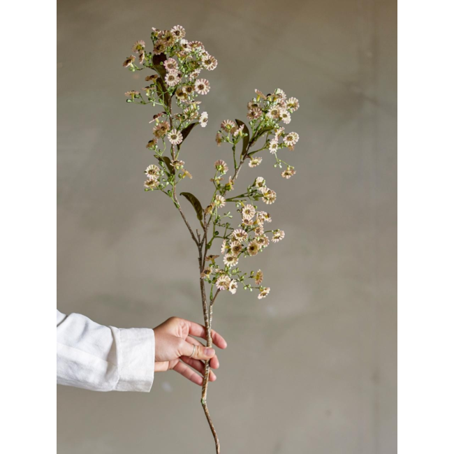 Waxflower Stem, White, Artificial Flowers