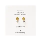 Mini Coin Labradorite Earrings