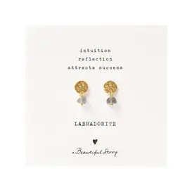 Mini Coin Labradorite Earrings