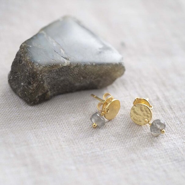 A beautiful story Mini Coin Labradorite Earrings