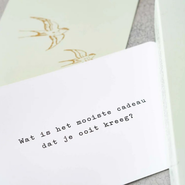 A beautiful story 52 Vragen A Beautiful Story