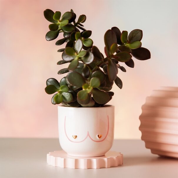 Sass & Belle Mini Girl Power Boobies white planter