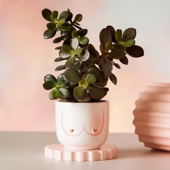 Mini Girl Power Boobies white planter