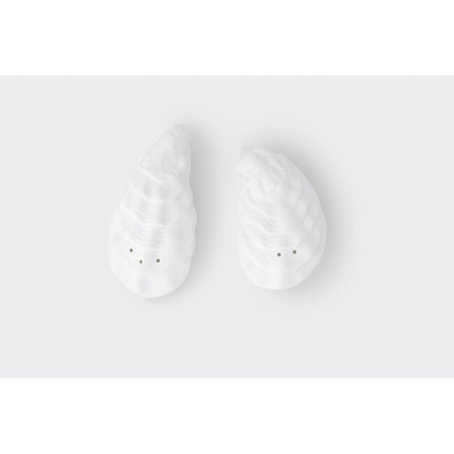 Salt and Pepper Shaker Oysters