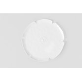 The Blooming Life Plate