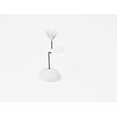 Lucky Flower Little Piece of Paradise