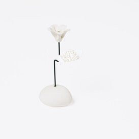 Lucky Flower Little Piece of Paradise