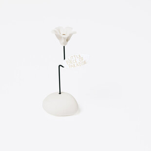 Lucky Flower Little Piece of Paradise