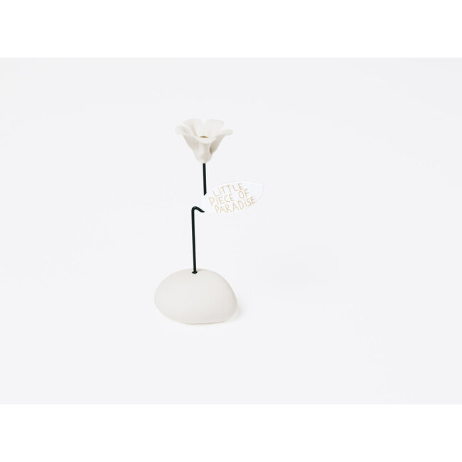 Lucky Flower Little Piece of Paradise