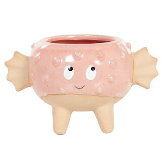 Potje bolvis roze