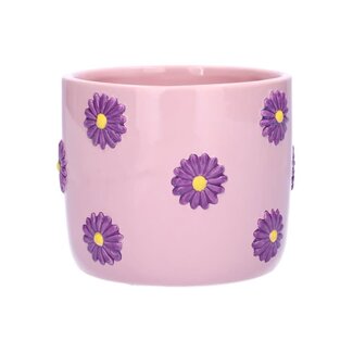 Mevrouw Potjes Pot daisy