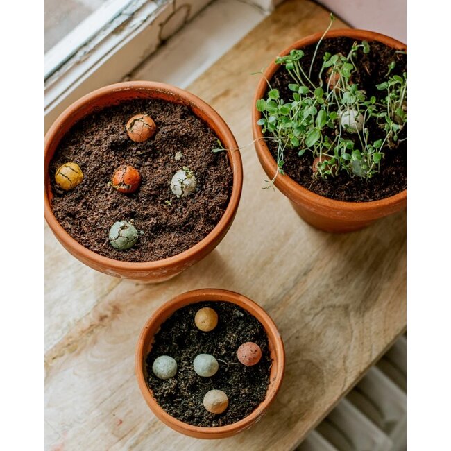 Blossombs Eierdoosje  dankjewel