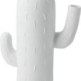 Cactus Vases Columnar Cactus