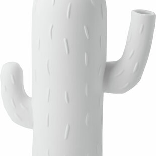 Cactus Vases Columnar Cactus