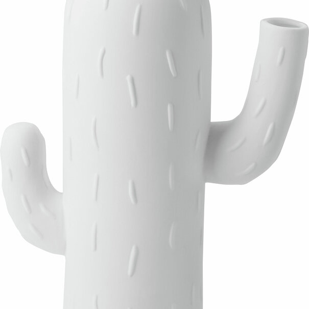 Räder Cactus Vases Columnar Cactus