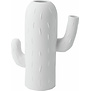 Cactus Vases Columnar Cactus