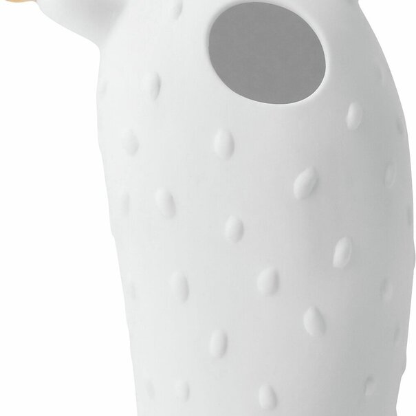 Räder Cactus Vases Coral Cactus