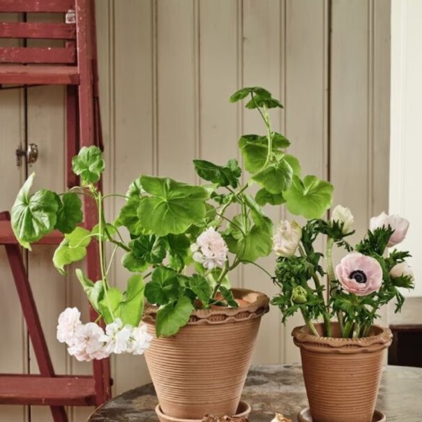 Strömshaga Pot Alvaro 15 cm Earthenware Terracotta Small