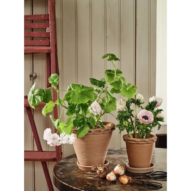 Pot Alvaro 15 cm Earthenware Terracotta Small