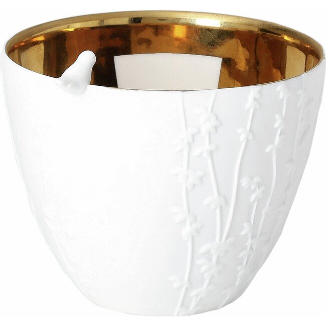 Poetry Light Bird Visit