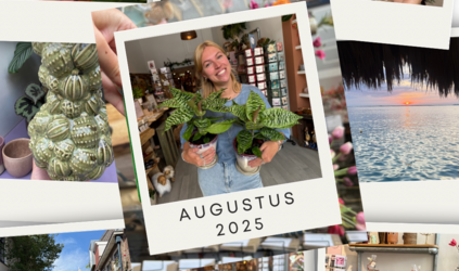 Waarom we doen wat we doen – Augustus 