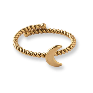 A beautiful story Honorable Moon Ring