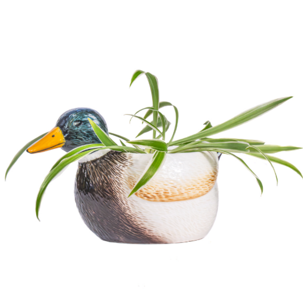 Sass & Belle Mallard Duck Mini Planter