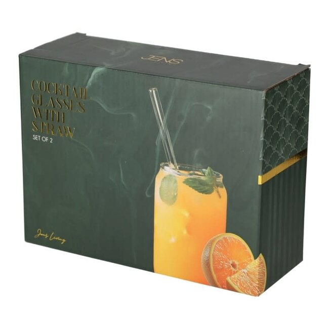 Jens Living Cocktailglazen met Rietjes (set van 2)