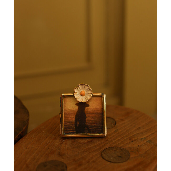 Posy Daisy Frame Mini
