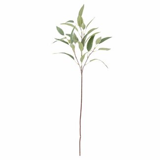 Bloomingville Eucalyptus Stem, Green, Artificial Flowers