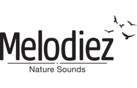 Melodiez