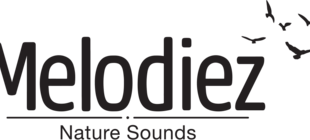 Melodiez
