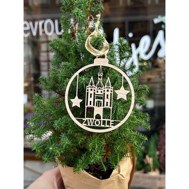 Mevrouw Potjes Kersthanger | Sassenpoort